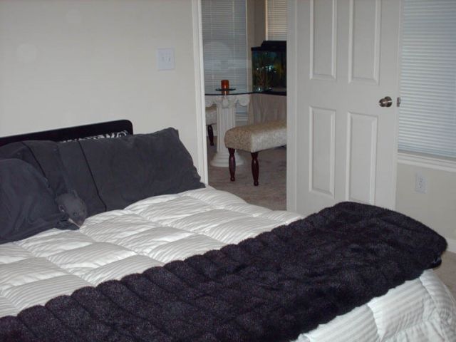 飲食店の印象を左右する空間設計の真髄と経営を成功へ導くデザイン戦略